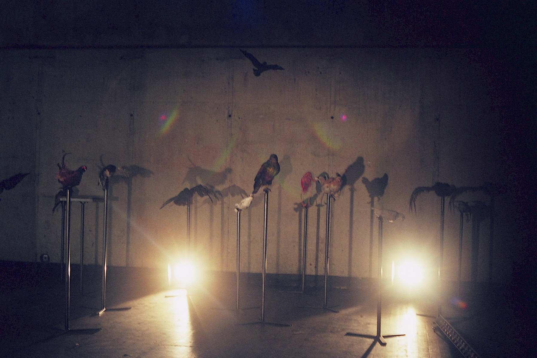 WORKS – Katrin Connan